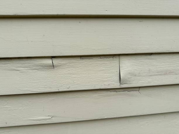 Best Insulated Siding Installation  in Pinetop Country Clu, AZ